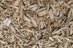 biomass boilers Bracara