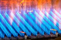 Bracara gas fired boilers
